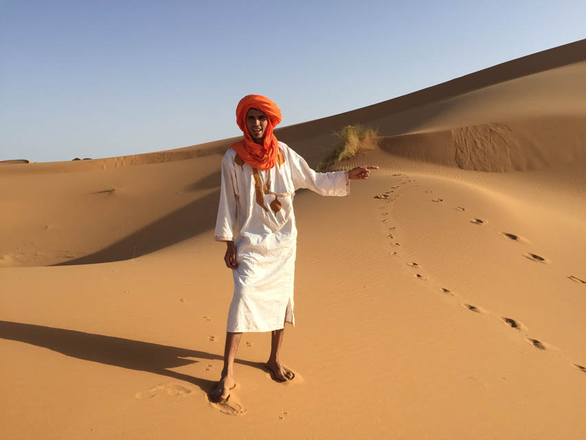 Morocco, Camel, Animals, North Africa, Sunny In Every Country, Sahara Desert, Desert, Sunrise, Nature